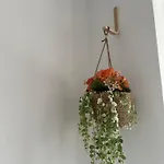 Meleta Apartament