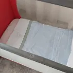 Meleta